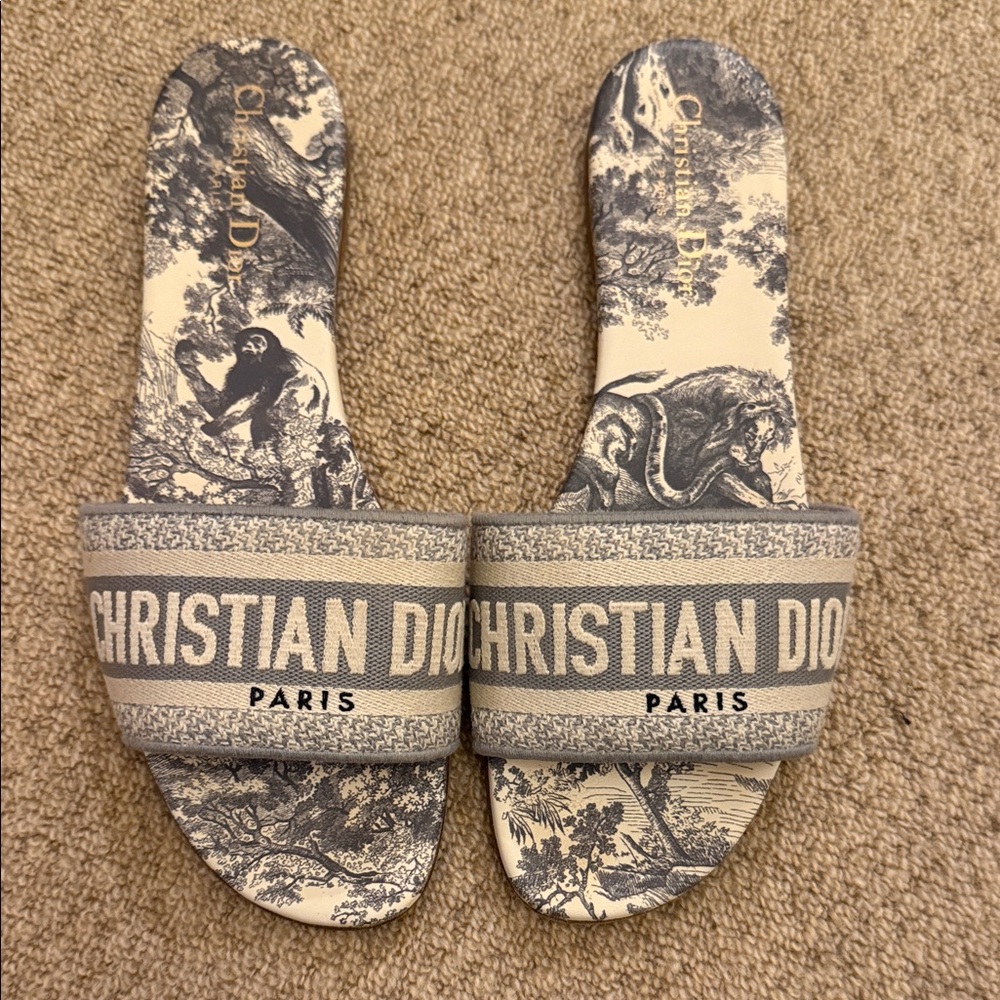 Christian Dior Paris Toile de Jouy Slides